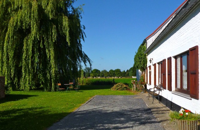 Le ruiclot
