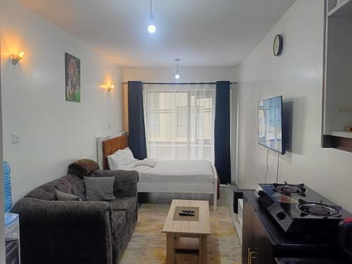 Legatus Cozy Studios 1