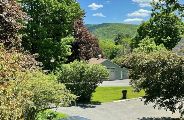 Lenox Retreat Near Tanglewood, Including Rescued Mini Donkeys!