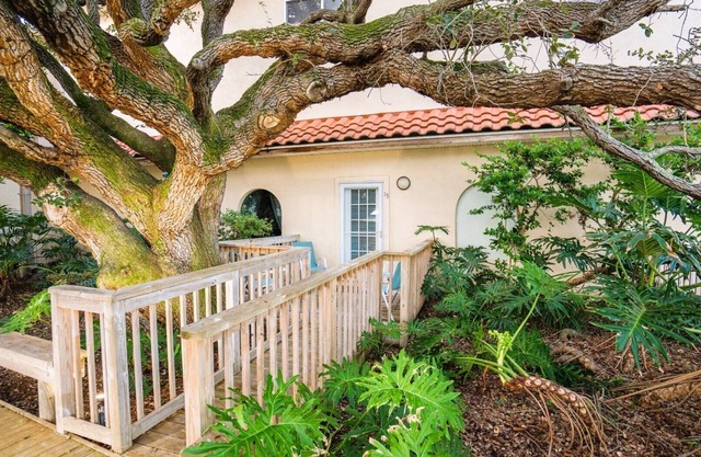 Let Nature Surround You! Garden View King Bed