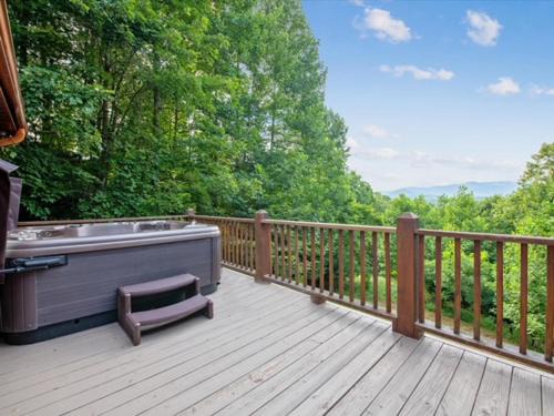 License 2 Chill - Mountain views of GA TN and NC