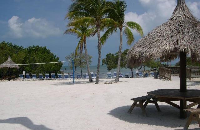 LICENSED MGR - MODERN OCEANFRONT - OCEAN VIEWS CONDO! BAR and BEACH RESORT!