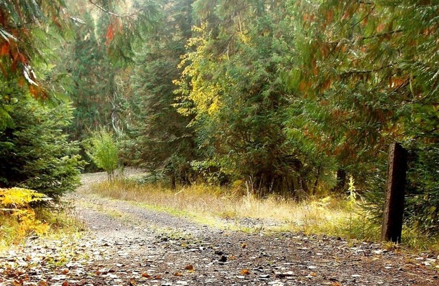 Lifewater Ranch - ein Ort der Ruhe und Heilung. Angeln, Wandern, Spa, Pool