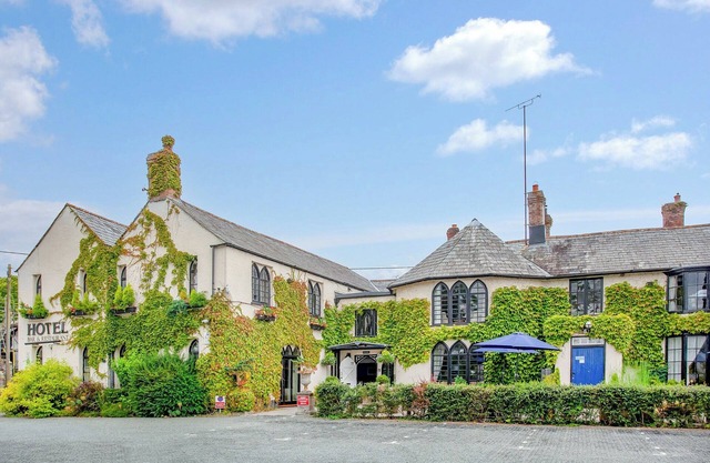 Lifton Hall - Sycamore
