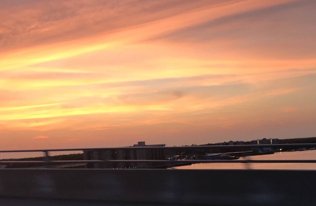 Leicht und hell In der Nähe von Golfpferden, Strand-, Kunst-, Rennbahn- und Vergnügungsparks