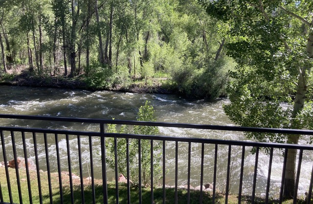 Light, Bright, Riverfront Condo in Downtown Basalt