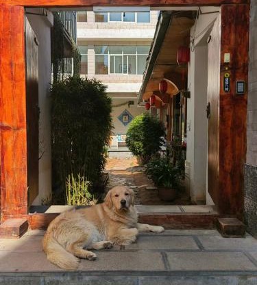 Lijiang Adventure Inn