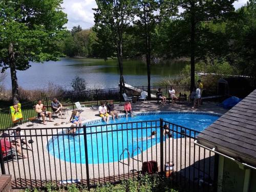 Lily Pad Cove