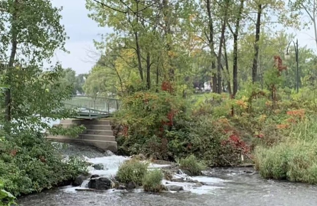 LILYS FLUSSBLICK-HEIMAT