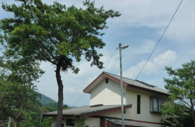 Limited dates 1300 checkin or 1200 checkout 5 / Hamamatsu City Shizuoka