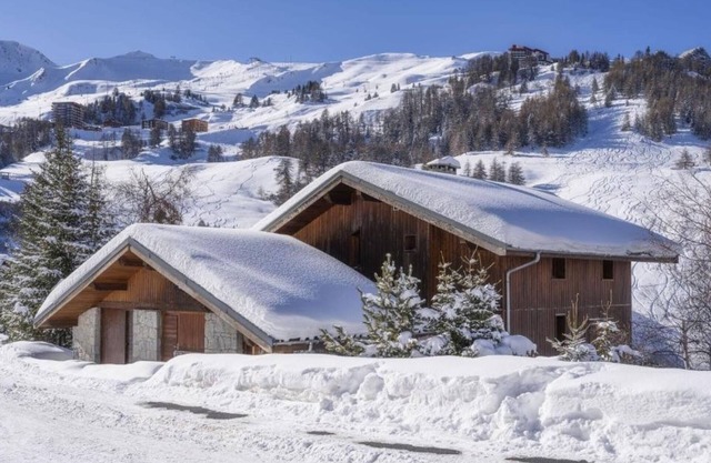 Linea Loft - Sleeps 13 - La Plagne Paradiski