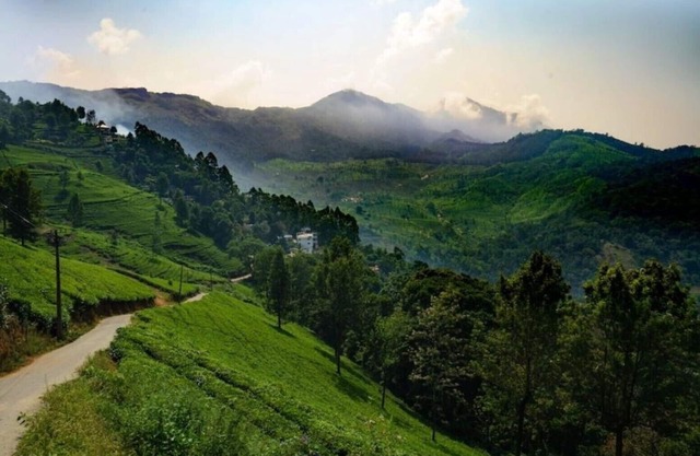 Ferienanlage Linten, Anwesen in Munnar. MUNNAR Stadt: 4.7 km