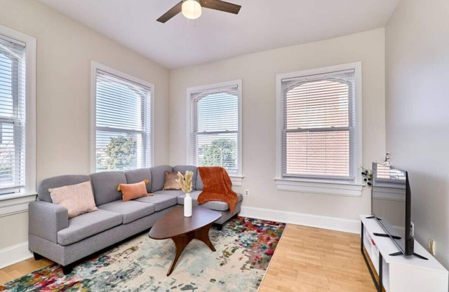Lion Room 1 bed SLU, Grand Center, CWE