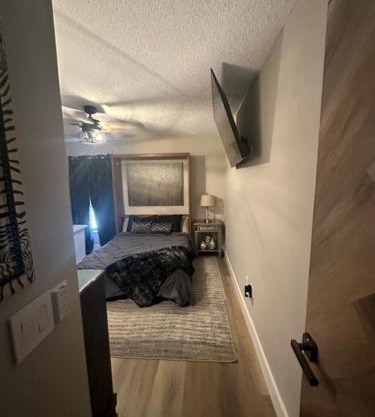 Lions Den. private room in shared home