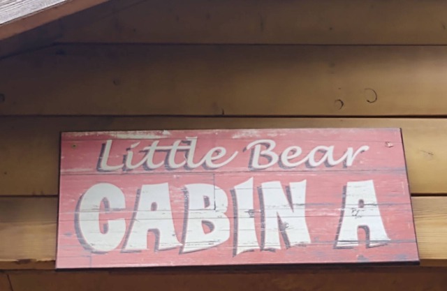 Little Bear private cabin in the woods- 5 min from volunteer park in Lakeside!