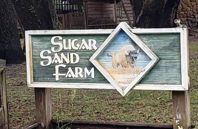 Little Fish House Casita de Peces Sugar Sand Farm