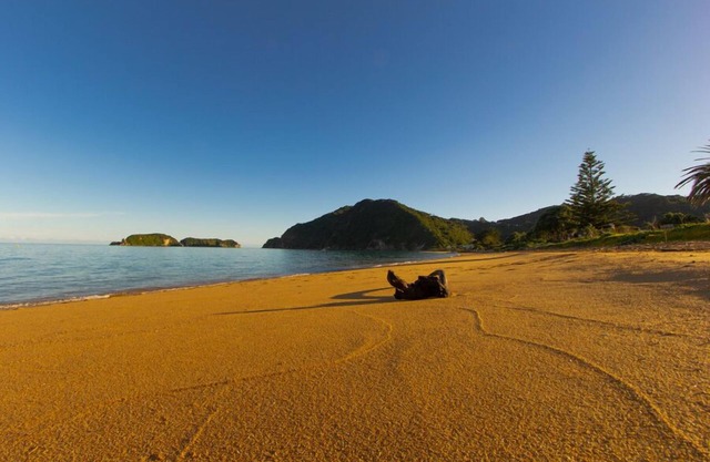 Little Nikau - Tata Beach Holiday Home