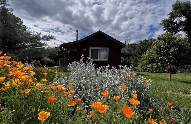 "Little Red House" - Nettes, gemütliches, rustikales Haus im historischen Old Shasta