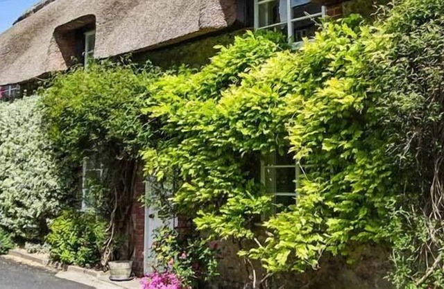Kleines Stroh, CERNE ABBAS