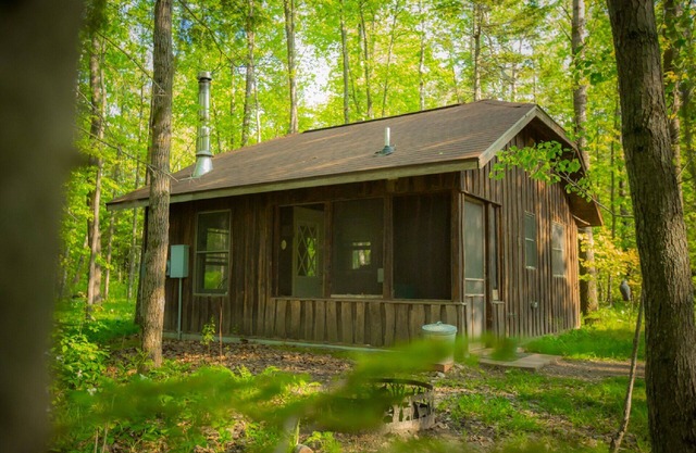 Das Hotel liegt im Herzen des Solana State Forest inmitten der Waldbäume
