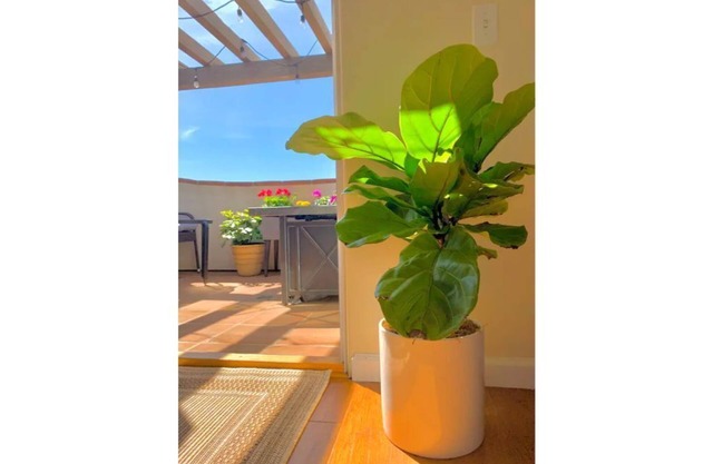 Located in the heart of Mesa w/ peak ocean views