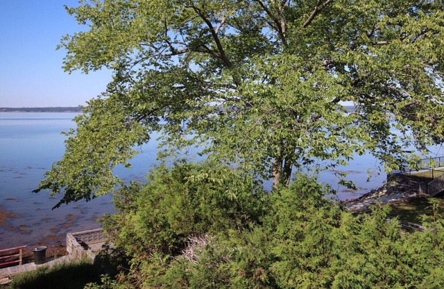 Lage, Lage, Lage! Privat - Waterview - Downtown Cottage