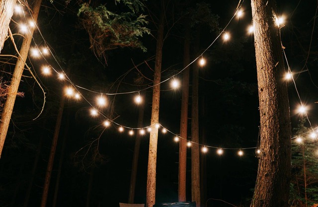 Lodge D1 |Hot tub & Sauna |Cape Carraholly Retreat