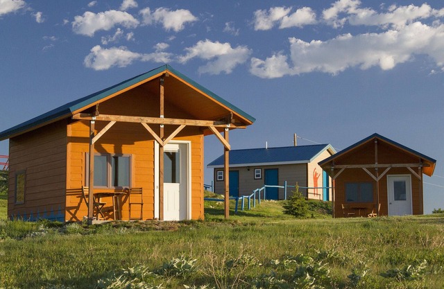 Lodgepole Gallery