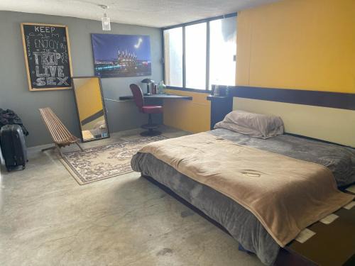 Loft IA79-2