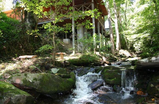 Log Cabin, Hot Tub, Fire Pit Roaring Creek