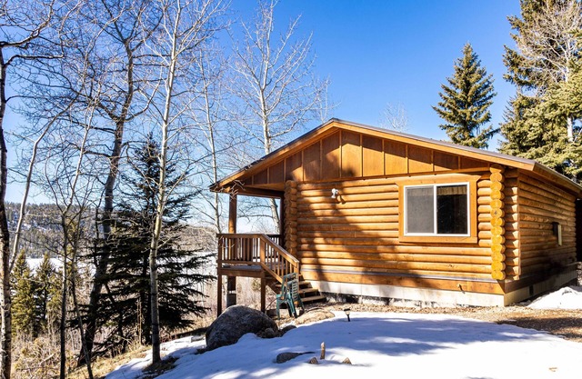 Log cabin in the National Forest, full restaurant/ bar on site, near ski lift.