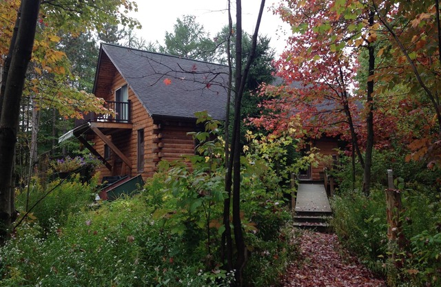 Blockhaus im Wald