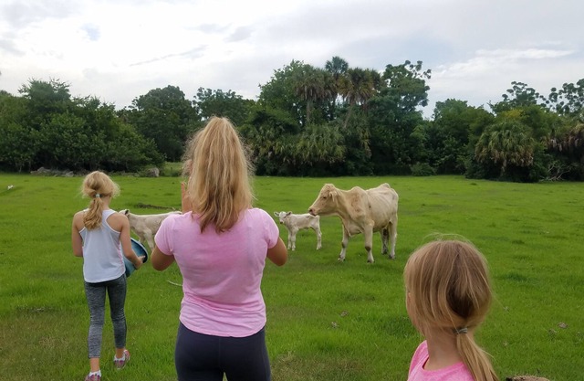 Log Cabin Surrounded by Nature