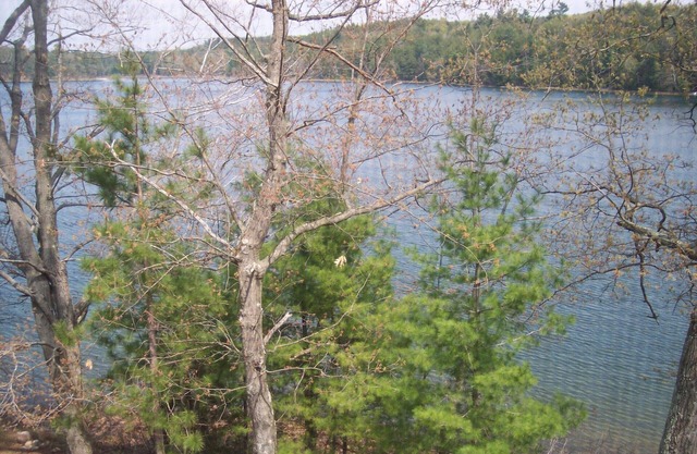 Loggerspointe Archibald Lake Retreat Cottage, Nicolet National Forest