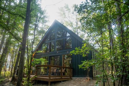 LostForest Cabins