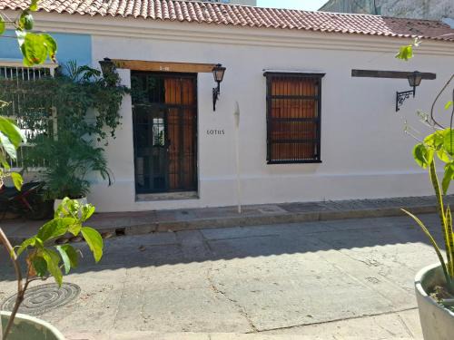 Lotus Centro HIstorico