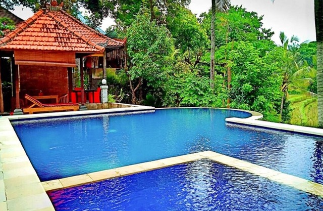 Lotus Guesthouse Sudaji: ein natürlicher und einzigartiger Ort im Norden Balis.