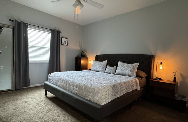 Lovely 1 bedroom apartment Pearland - Wi-Fi - Roku TV