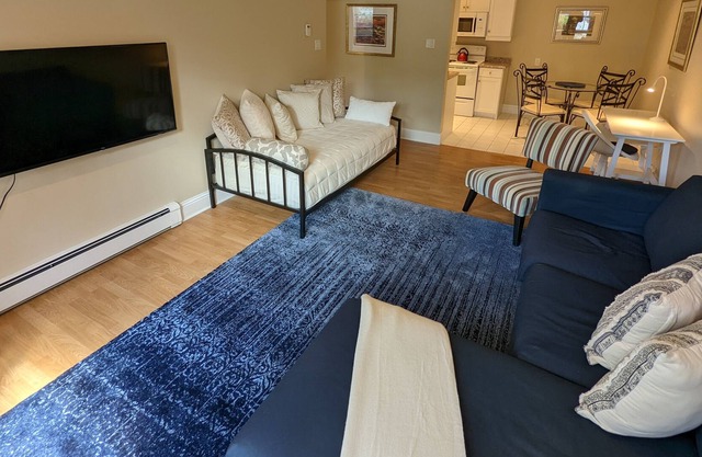 Lovely 1 Bedroom Condo With Free Parking & Wifi