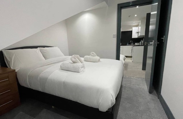 Lovely 2 Bed-Apt in Leicester city- Free Parking