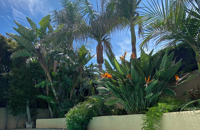 Lovely 2 BR / 2 BA House with Relaxing Spa, Pool, and Gardens