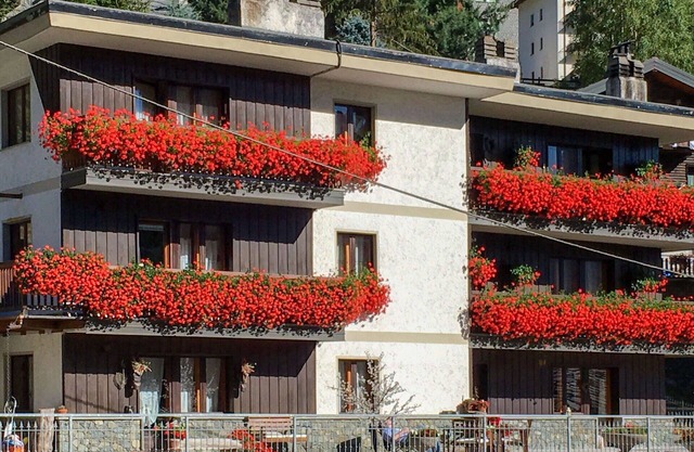 Gemütliche Wohnung für 4 Leute mit W-LAN, TV, Terrasse, Haustiere erlaubt und Parkplatz