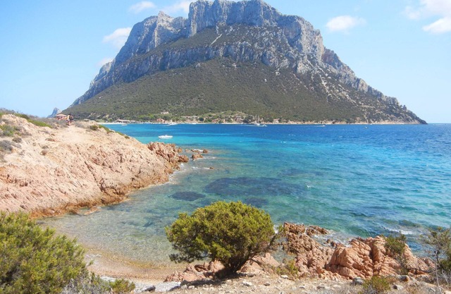 Schöne Wohnung in San Teodoro