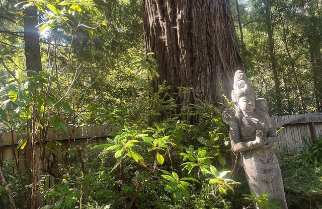 Sanctuary Corazon nur wenige Minuten vom Mendocino Village & Pacific Ocean entfernt