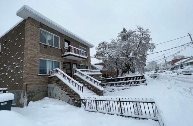 Lovely half basement Apt near highway