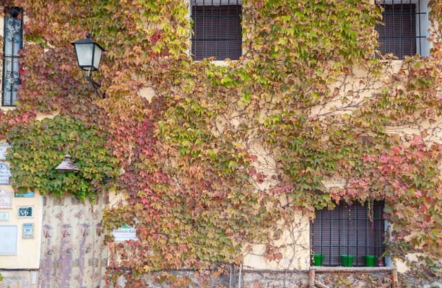 Schönes Haus in Arenas del Rey mit WLAN