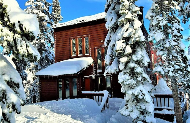 Schönes Kirkwood Mountain House -33991 Dangberg Drive (Lot # 48)