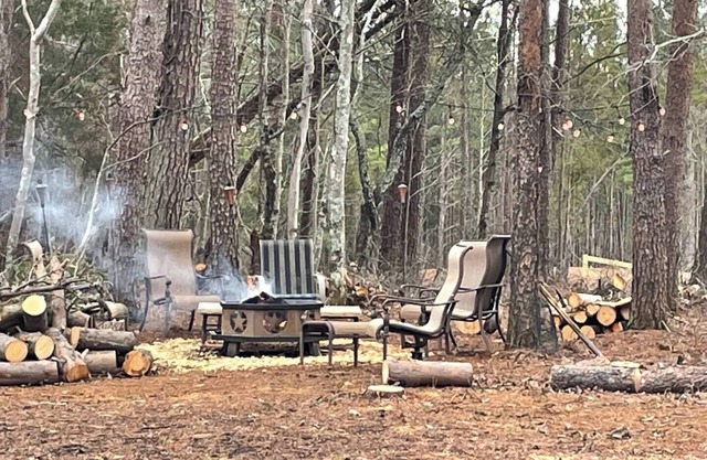Lovely Mountain Escape one hour from Atlanta near Jasper,Talking Rock and Elijay