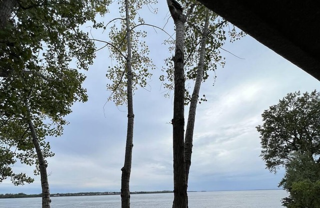 Lovely one bedroom apartment 15 min to downtown