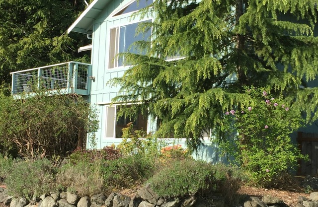Schöne private renovierte Sunny Cabin Haus mit Wald, Wiese und Wildlife